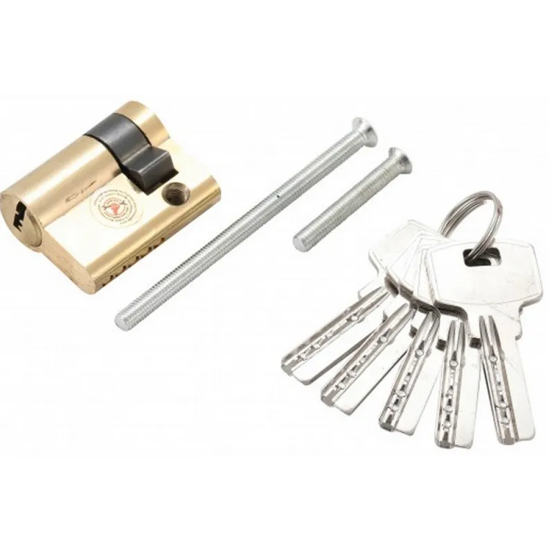 BARILLET CYLINDRE DE SERRURE PORTE DE GARAGE AVEC 5 CLES 