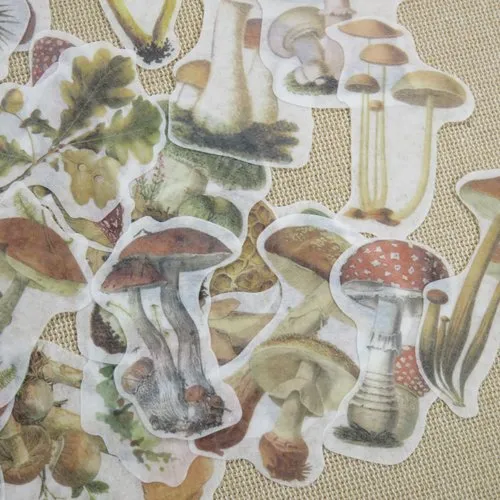 Stickers champignon automne scrapbooking - lot de 30 étiquettes papier autocollant